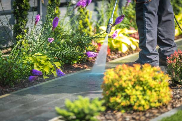 Best Parking Lot and Garage Cleaning  in Duncansville, PA