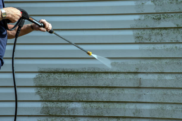 Best Patio and Deck Pressure Washing  in Duncansville, PA